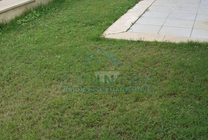 53725724 - Property Image 3