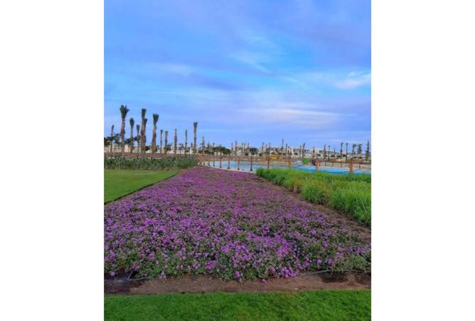 8526912 - صورة العقار 2