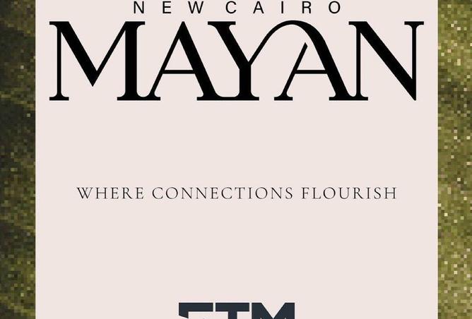 53728953 - Property Image 3