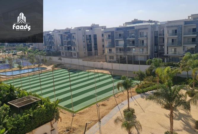 64136003 - Property Image 3