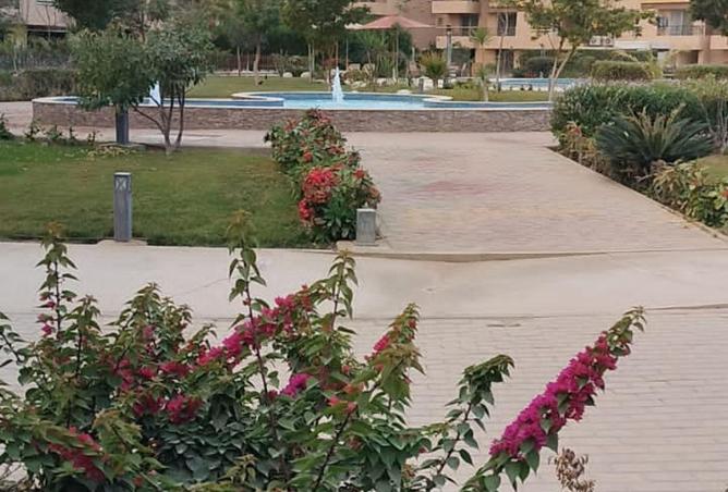 53977824 - صورة العقار 2