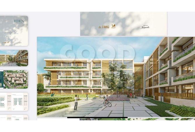 8689858 - Property Image 3