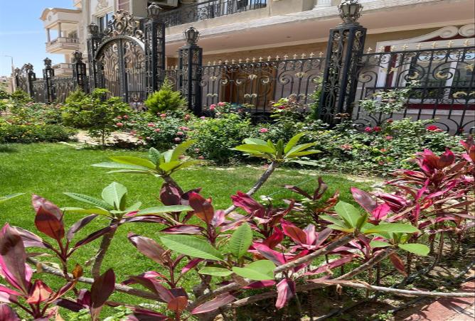 8615264 - الصورة الرئيسية للعقار