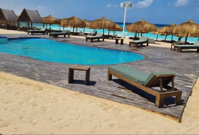 66682793 - Property Image 2