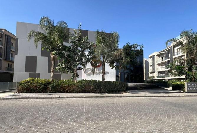 79719082 - Property Image 3