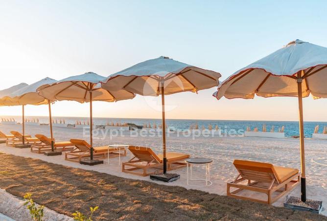 66966692 - Property Image 3