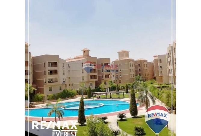 8479854 - Property Image 3