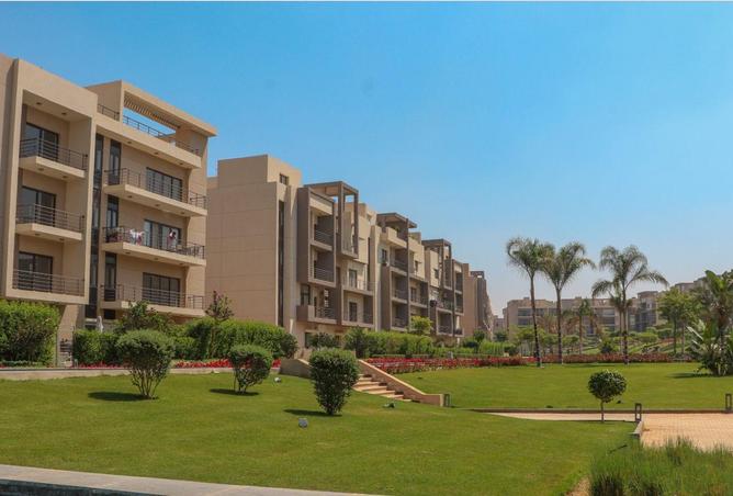 55498290 - صورة العقار 3