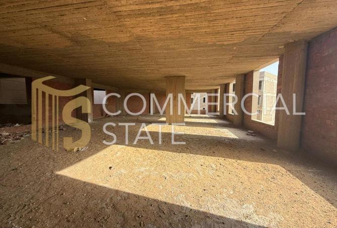 59234294 - Property Image 3