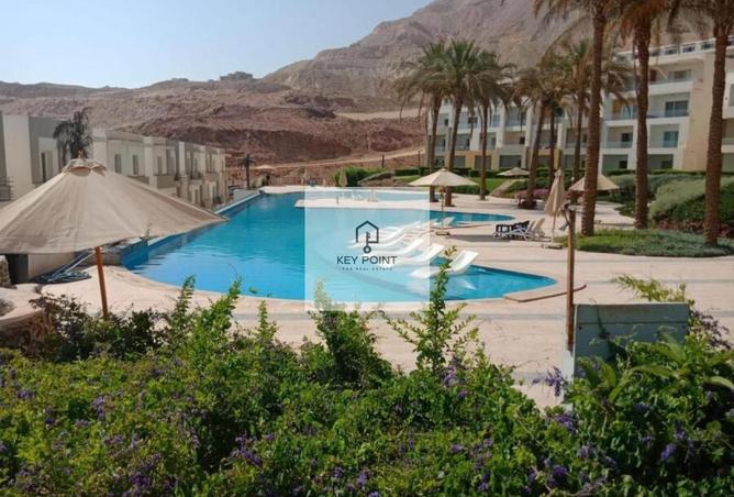 59502420 - Property Image 3