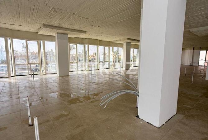 98005609 - Property Image 3