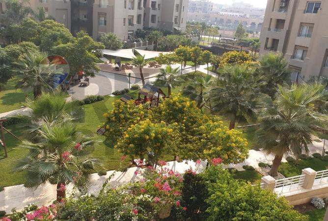 69577638 - صورة العقار 3