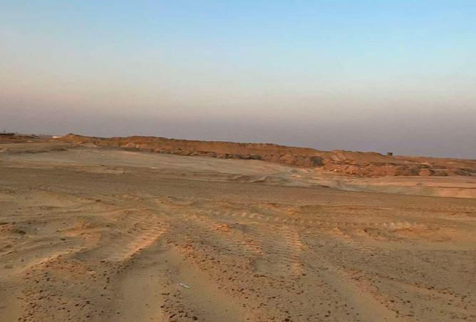 66703937 - صورة العقار 3