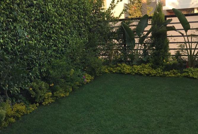 71396379 - صورة العقار 2