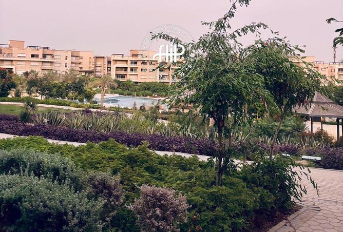 86675680 - صورة العقار 3