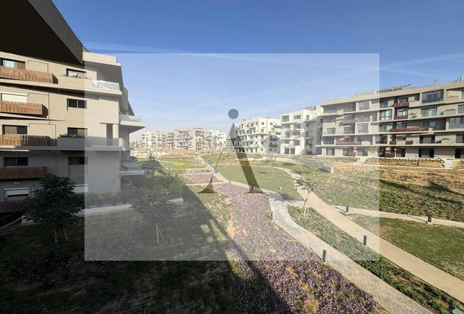 8580389 - Property Image 3