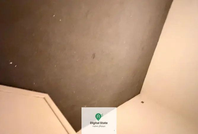 118279020 - Property Image 3