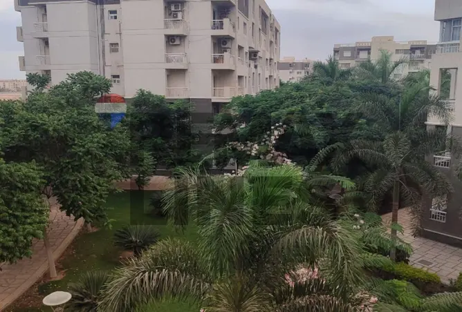118551425 - صورة العقار 3