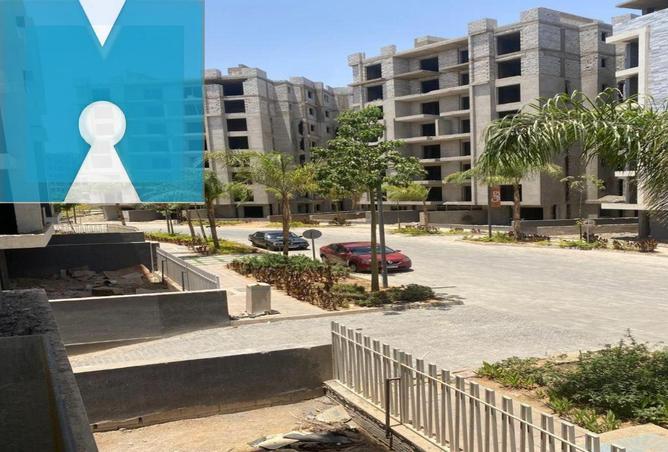 53478622 - Property Image 3