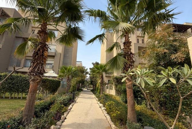 8686937 - صورة العقار 3