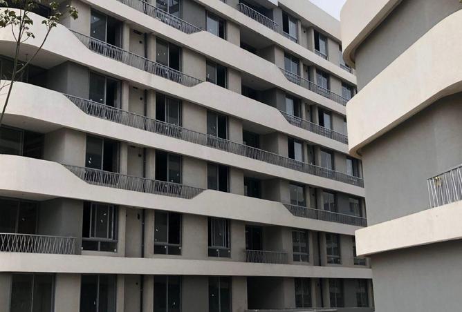 52459871 - Property Image 2