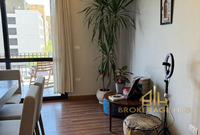 74581446 - Property Image 3