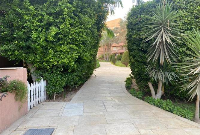 67219262 - Property Image 3