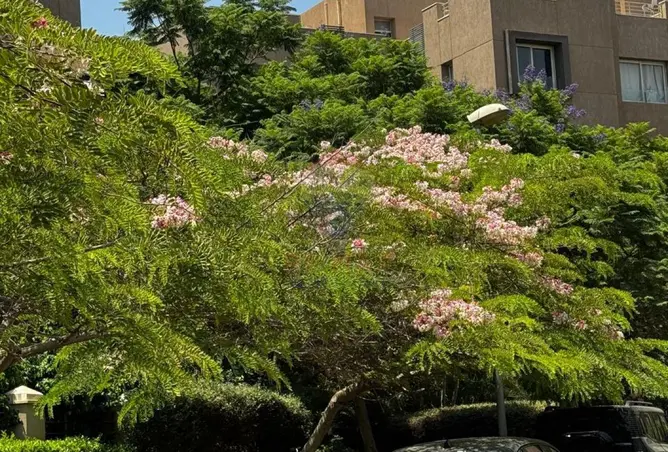 118802220 - صورة العقار 2