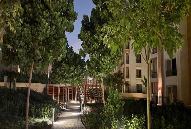 53728533 - Property Image 3