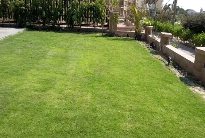 112979502 - صورة العقار 2