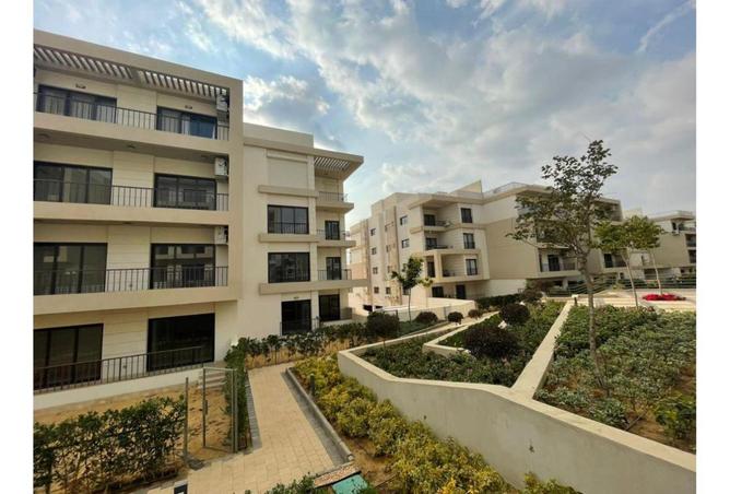 66431750 - صورة العقار 2