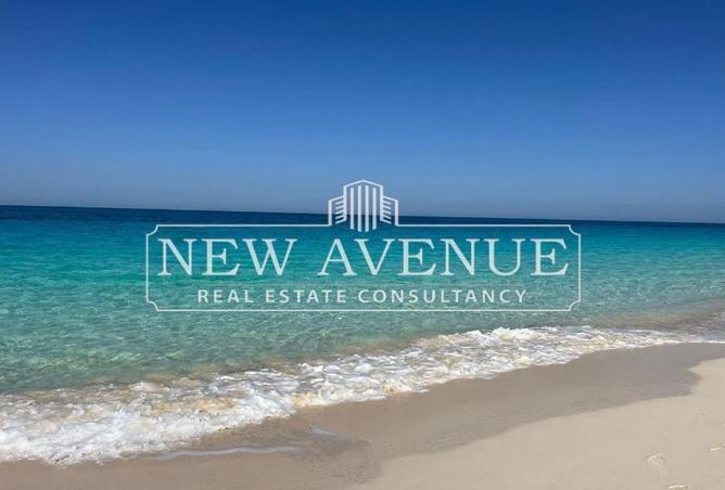 66424624 - صورة العقار 2