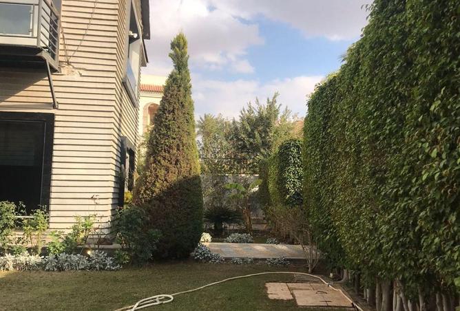 64387096 - صورة العقار 2