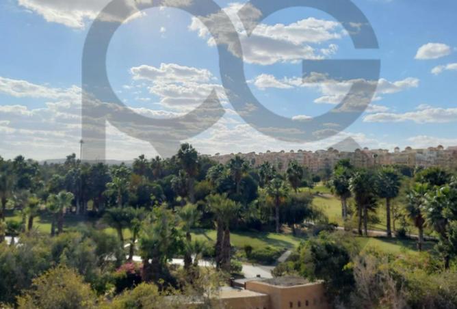 55997271 - صورة العقار 3