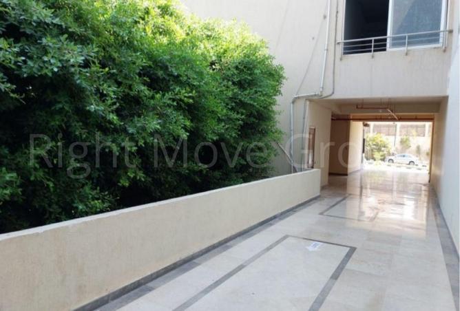 61194102 - Property Image 3