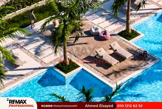 56500430 - Property Image 3