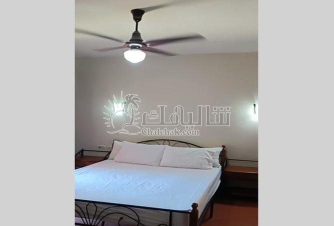 103470365 - Property Image 3