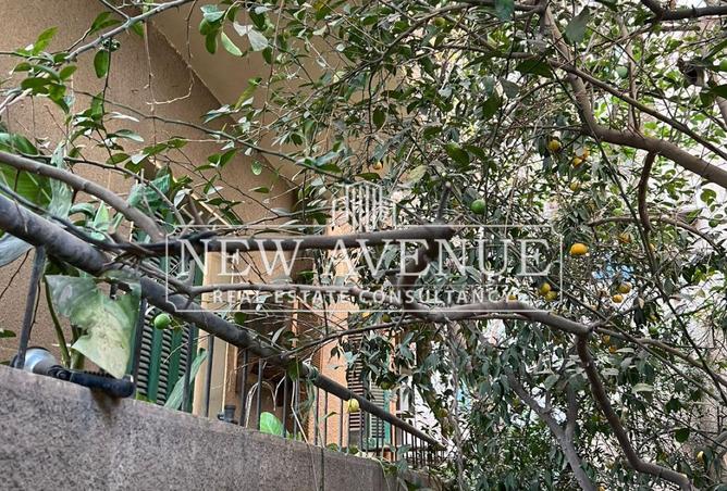 69573038 - صورة العقار 2