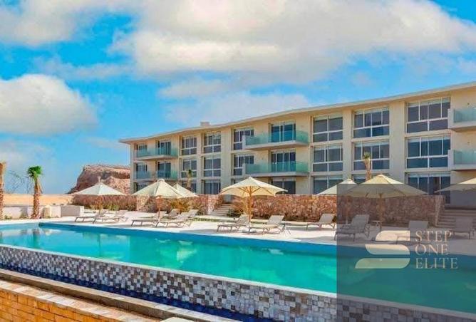 8438118 - صورة العقار 3