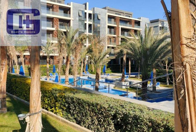 8586164 - Property Image 3