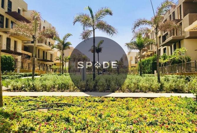 64905589 - صورة العقار 3