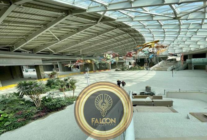 68002307 - صورة العقار 3