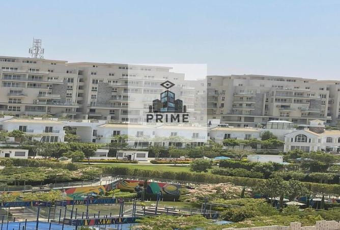 56247479 - Property Image 3