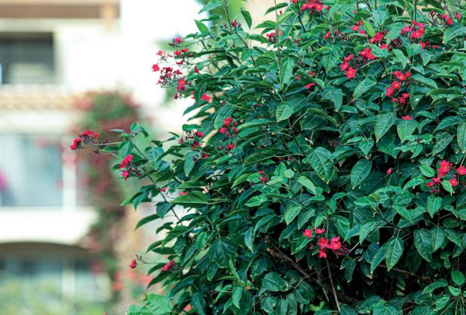 8666072 - صورة العقار 2