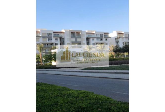109355237 - Property Image 2