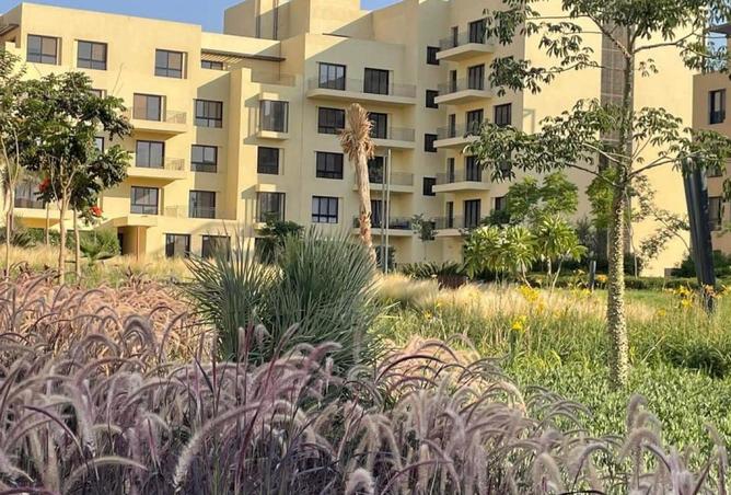 54496675 - Property Image 2