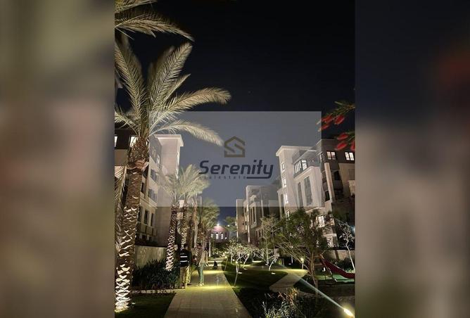 56240281 - صورة العقار 2