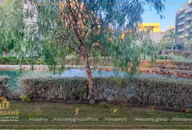 82094902 - Property Image 2