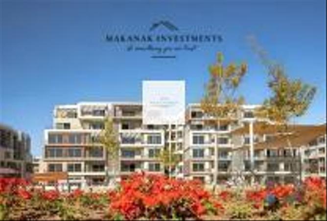 67479635 - Property Image 3