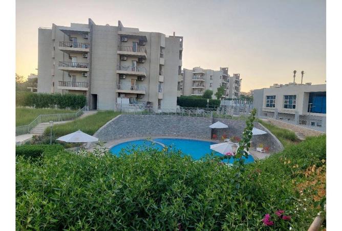 62399751 - Property Main Image